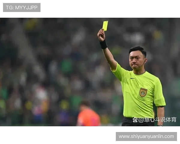 鲁能队在中超联赛中的赛程安排与表现