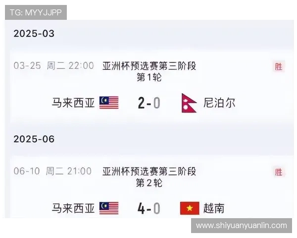 越南对阵马来西亚1211焦点直播全程精彩回顾与赛前前瞻解析